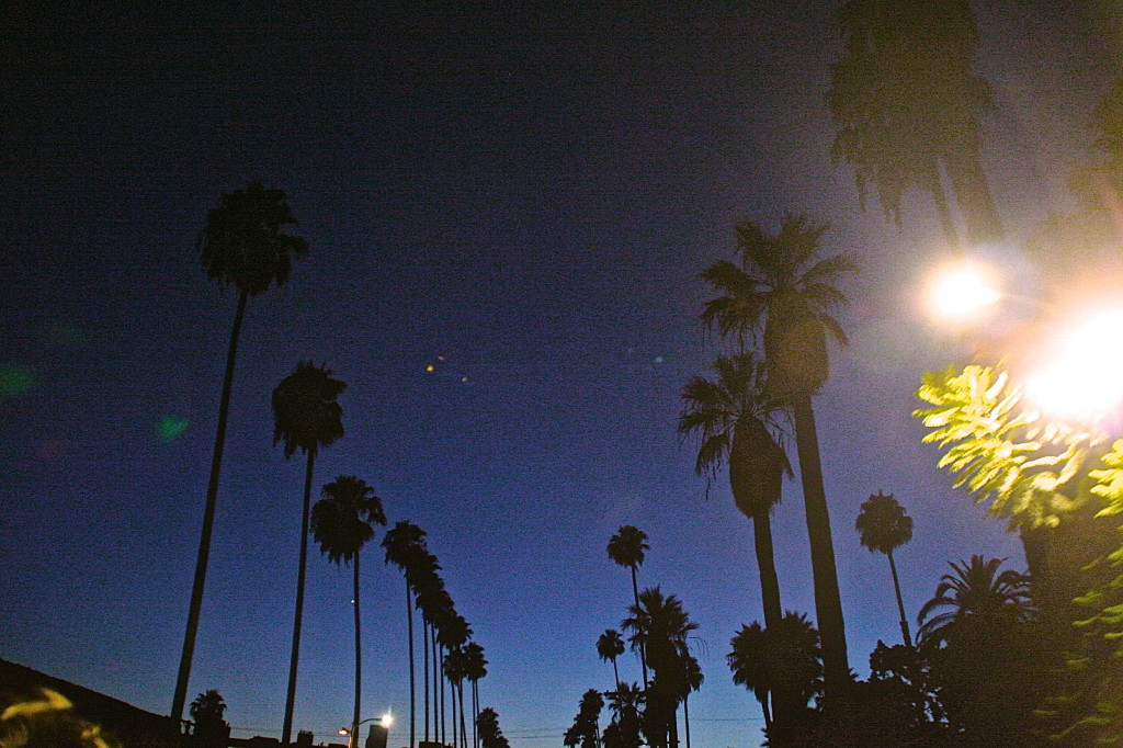 nicol-paone-los-angeles-bus-comedy-tour-last-show-i-do-before-i-go-on-medication-palm-trees-night-la-california