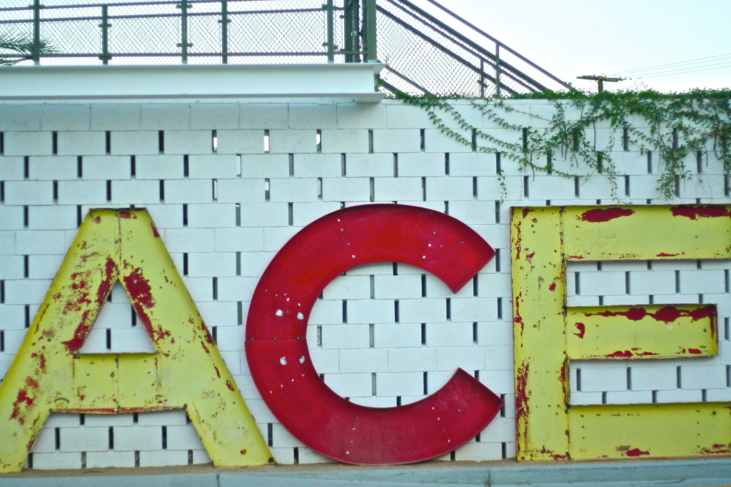 camp-mighty-dear-handmade-life-2013-go-mighty-ace-hotel-palm-springs-room-lobby-wolf