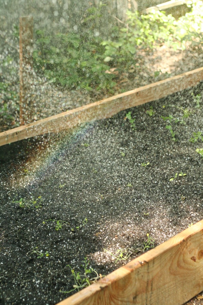 how to build a wood raised bed planter box diy backyard