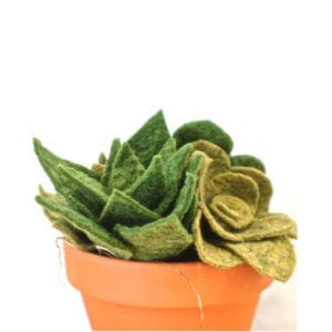 How to make a DIY felt succulent plant