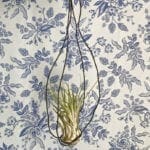 DIY Air Plant in a Vintage-inspired Hand-knotted Wire Hanger from Dear Handmade Life