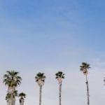 Craftcation Business Maker Craft Conference California