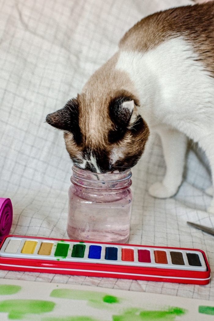 DIY watercolor and crepe paper paper tropical monstera plant garland from Dear Handmade Life