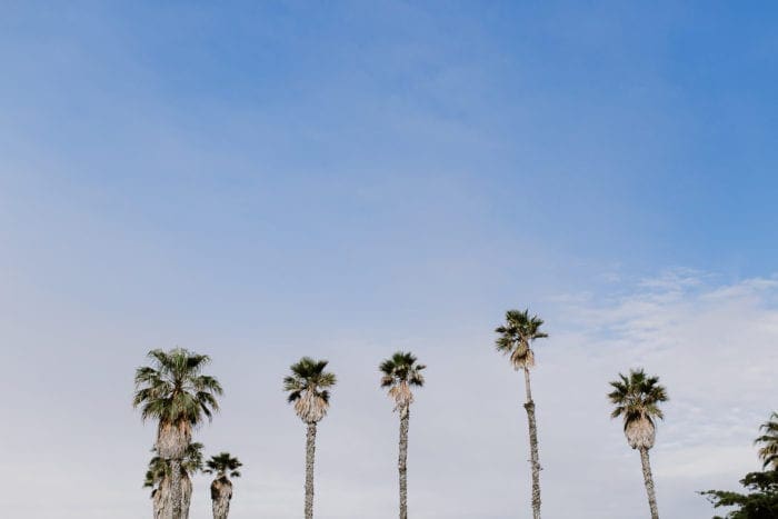 Craftcation Business Makers Conference Craft California