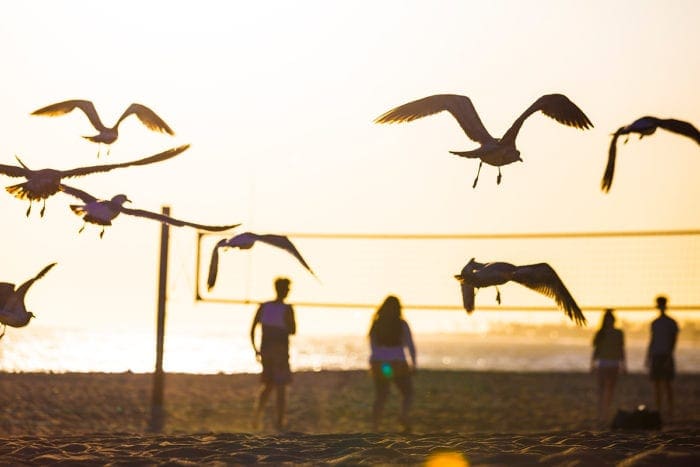 How to combat overwhelm and recharge your inspiration and creativity from Dear Handmade LIfe