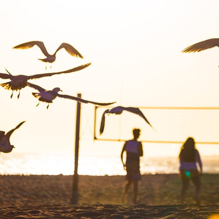 Dear You: Taking it “Bird by Bird”