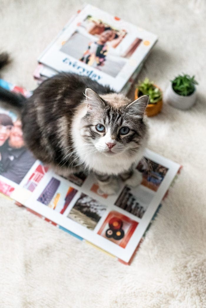 Martha Stewart Photobooks - Mixbook