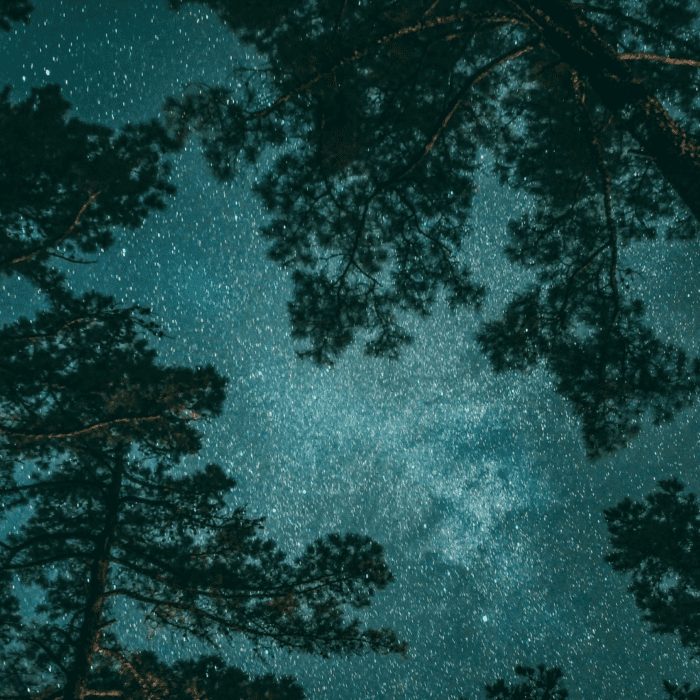 Join The Club! Enrollment is now open!